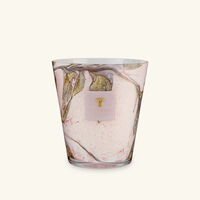 baobab collection manon candles max 16