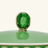 روزنتال إبريق الشاي سيغنوم فيرن أخضر