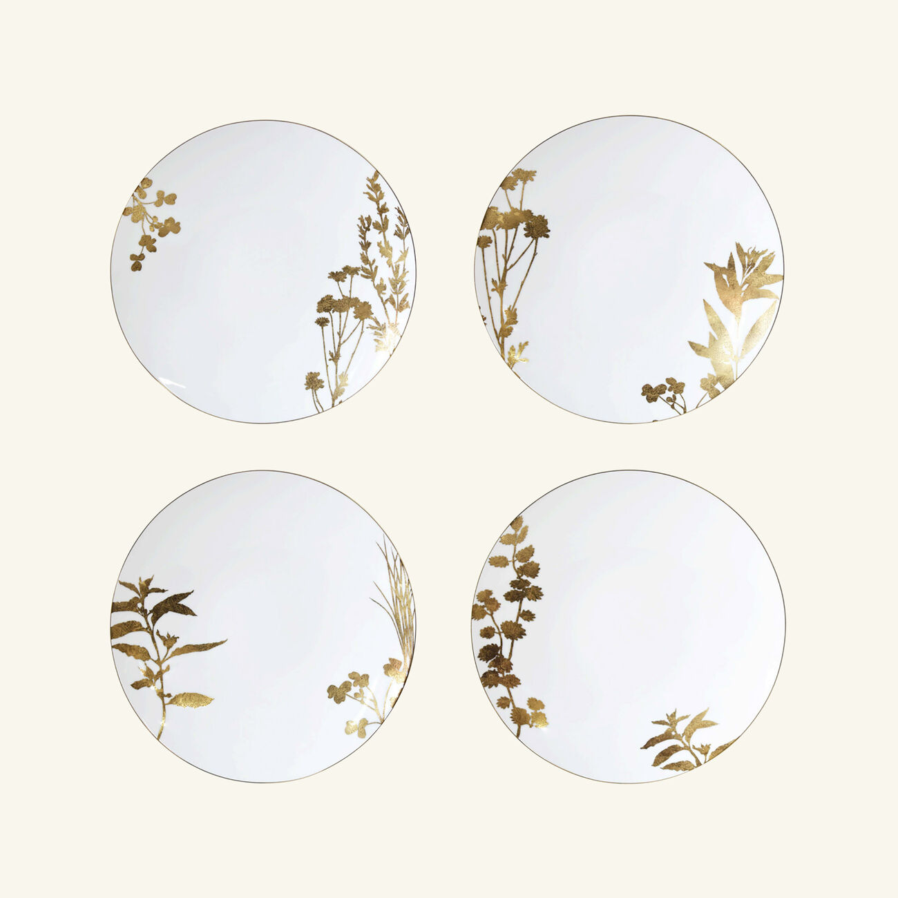 Végétal Or Dinner Plate Round Gold 26cm Set Of 4 bernardaud v g tal or dinner plate round gold 26cm set of 4