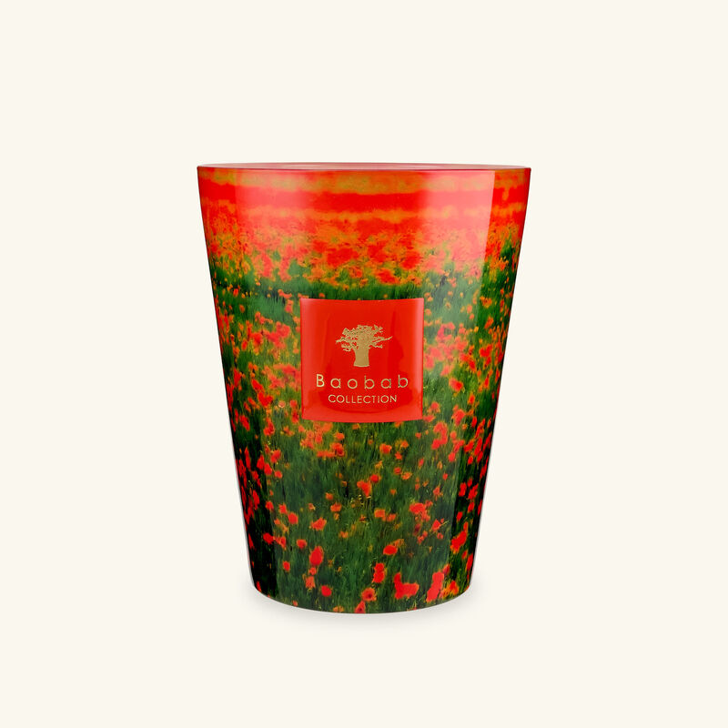 baobab collection poppies candles max 24