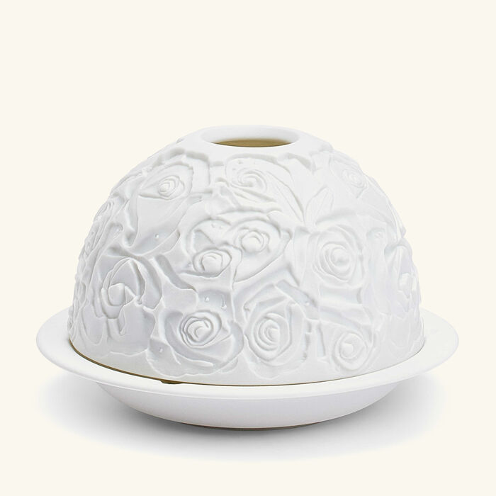 برناردو مصباح ليثوفاني روز