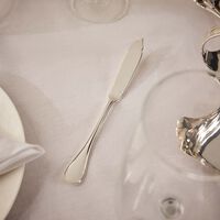 سكين السمك آلبي باللون الفضي كريستوفل سكين السمك آلبي باللون الفضي