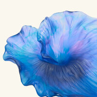 Arum Centrepiece Blue daum arum centrepiece blue