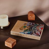 Bulgari Beyond Time Book 30x8cm assouline bulgari beyond time book 30x8cm