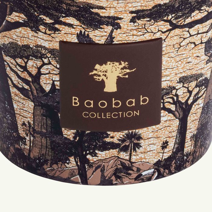 baobab collection sacred trees mankono candle max 10