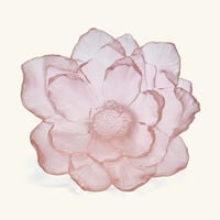 Camellia Centerpiece Medium Pink daum camellia centerpiece medium pink