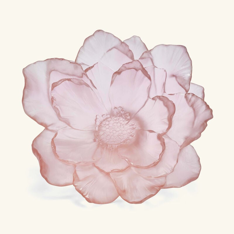 Camellia Centerpiece Medium Pink daum camellia centerpiece medium pink