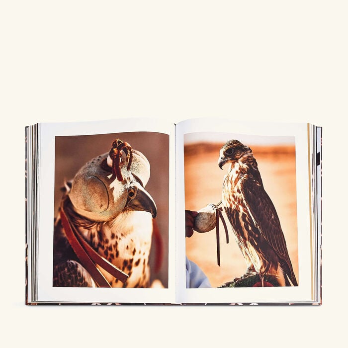 assouline falcons from saudi arabia book 48x39cm