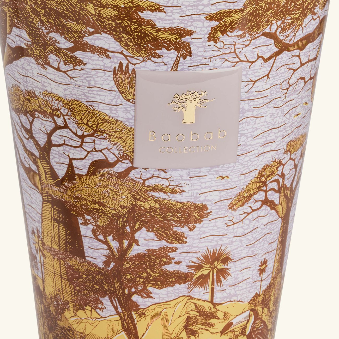 baobab collection sacred trees boukani candle max 35