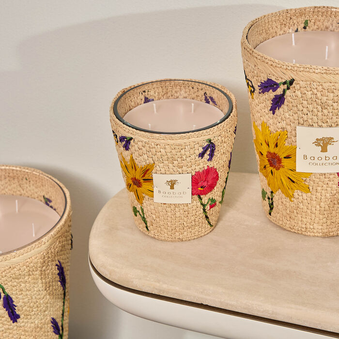 baobab collection ahitra candles max 16