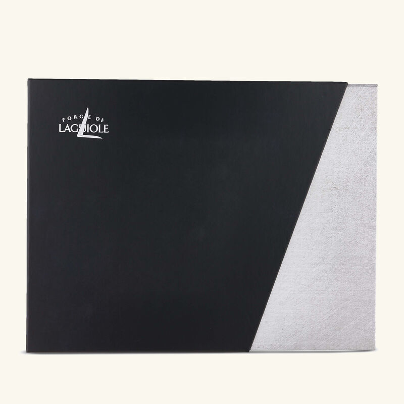 Acrylic Handle Soup Spoon Silver Set of 6 forge de laguiole acrylic handle soup spoon silver set of 6