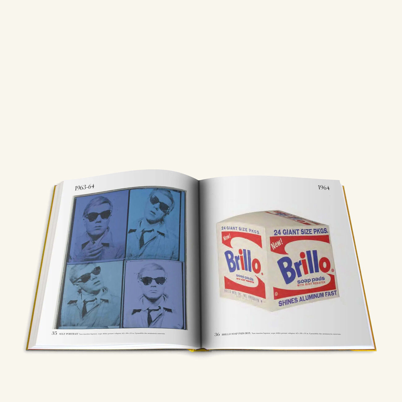 آسولين كتاب آندي وارهول  المجموعة الأيقونية 47 39 سم