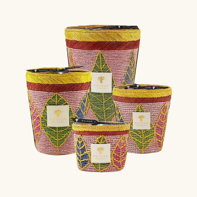 baobab collection ravintsara hanitra candle max 10