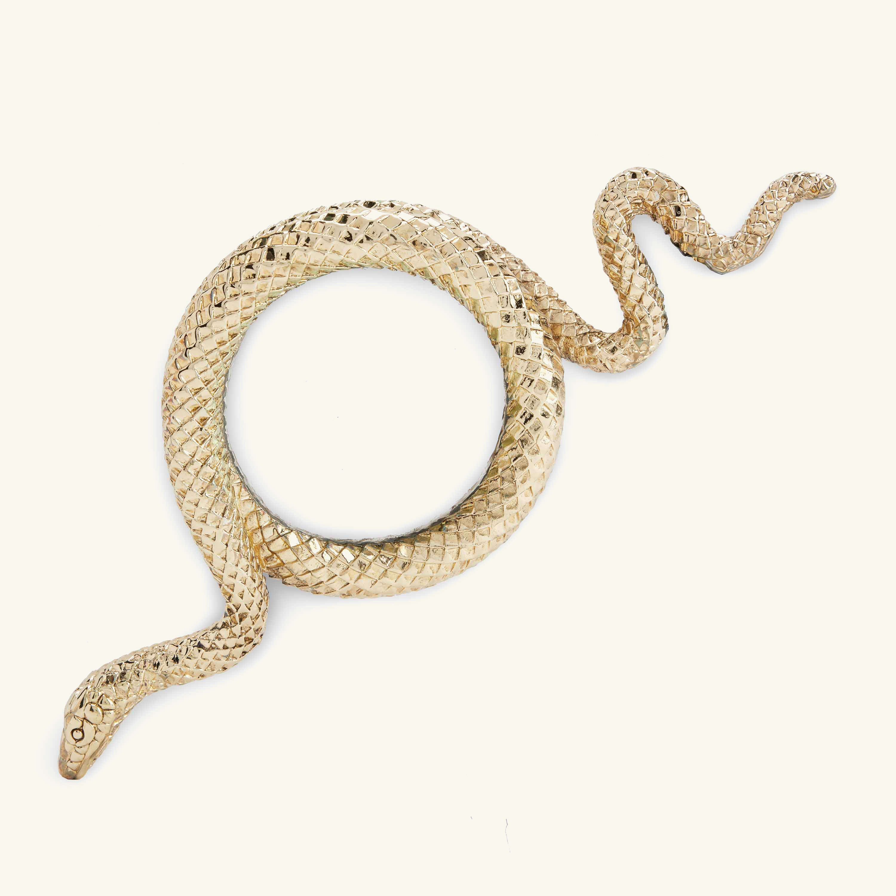 

Snake Large Magnifying Glass