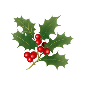 موسم الاحتفالات